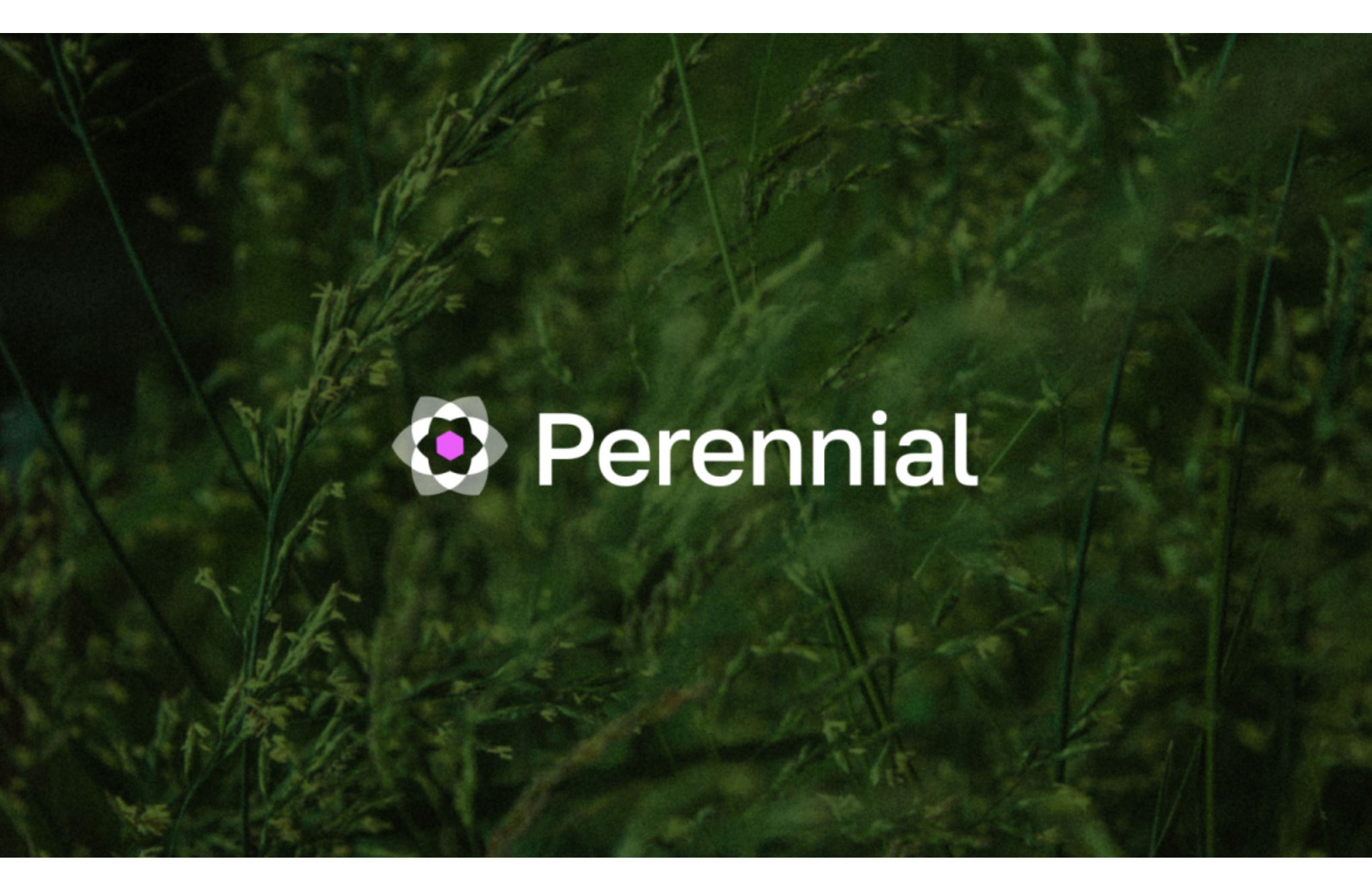 Perennial 推出创新意图层，解决 DeFi 流动性碎片化问题