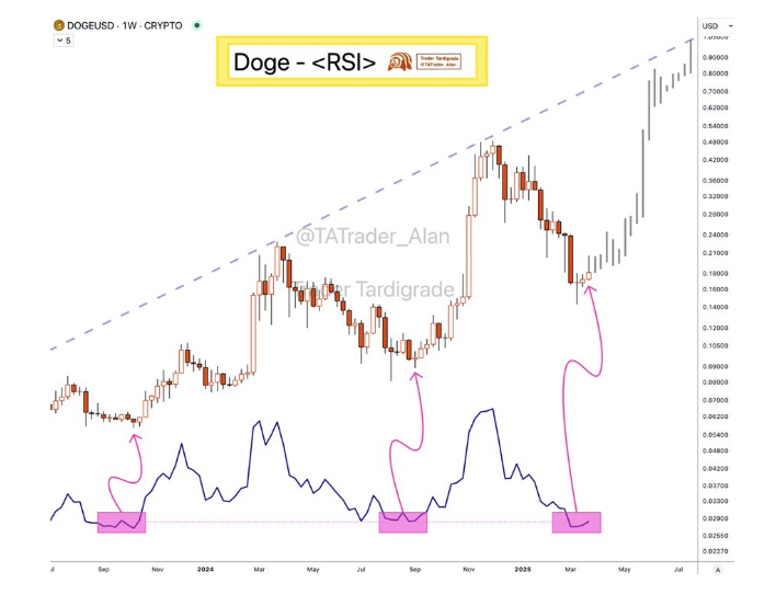 马斯克否认DOGE与美国政府的关系，狗狗币到底了吗？