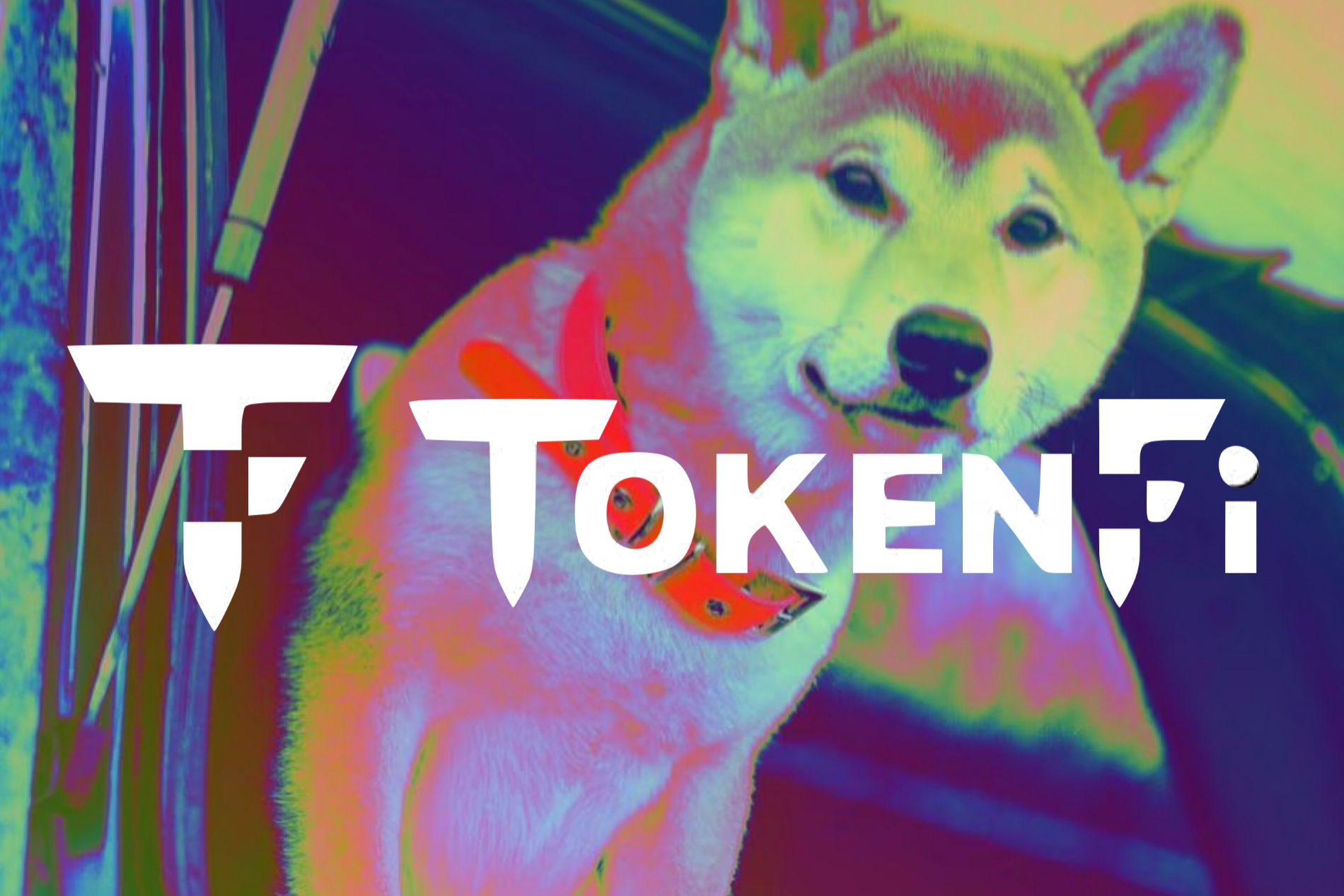 比特币成交额最大平台是哪个 比特币成交额最大平台是哪个