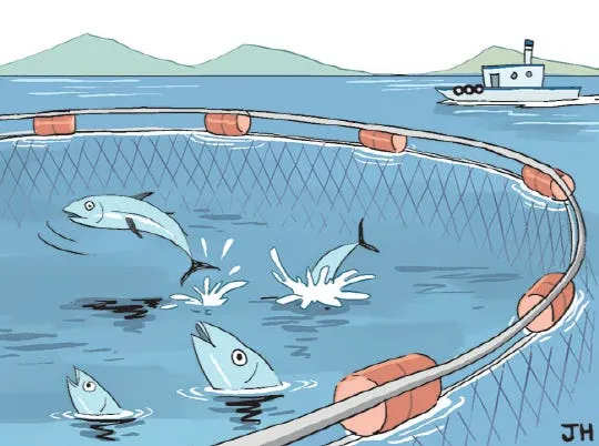 eth挖矿哪个矿池收益高