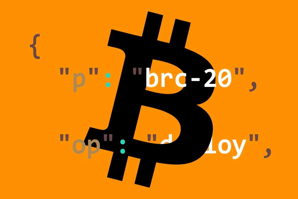 以太坊的节点分为什么