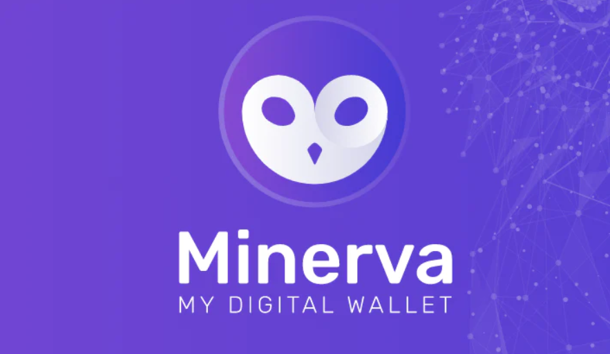 yfc币上那些交易所是真的吗