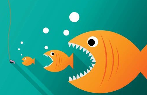 cfx币在哪个平台 cfx币在哪个平台