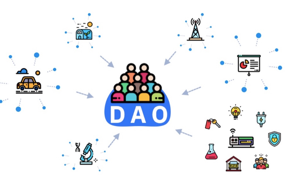 bonk币会不会是千倍币