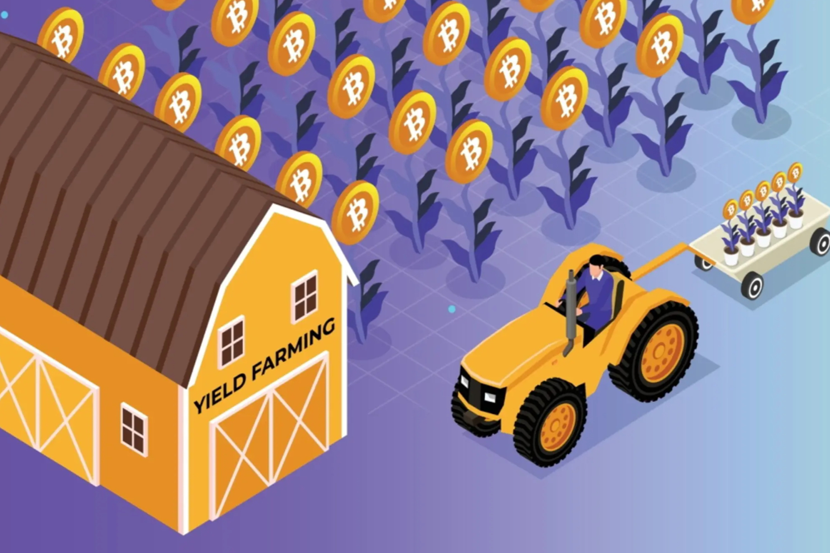 最有前景的山寨币是哪一款