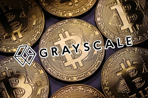 柚子币今年最高价格是多少 柚子币今年最高价格是多少