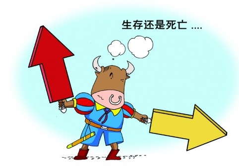 基金怎么买新手入门基金呢