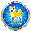 LDOGE币