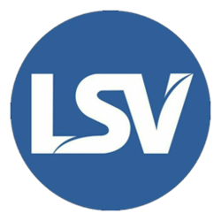 LSV币