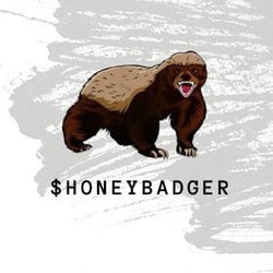 HONEYBADGER币