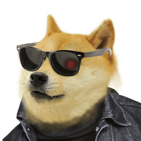 DOGEFI币