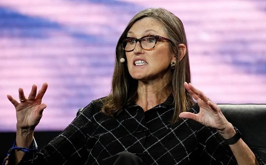 泰达币如何开户