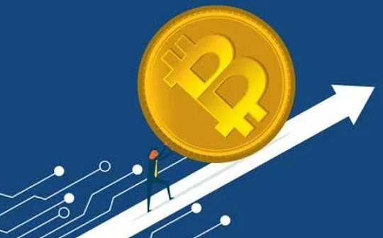 dog是什么币种最新消息