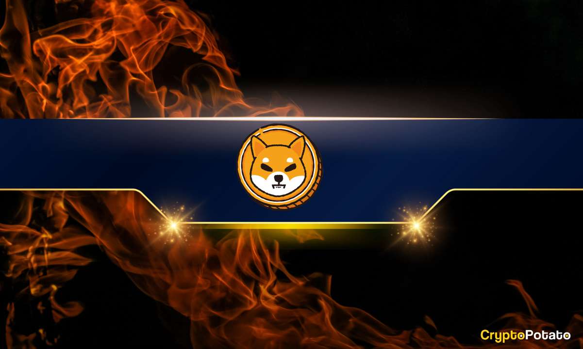 doggy币怎么购买