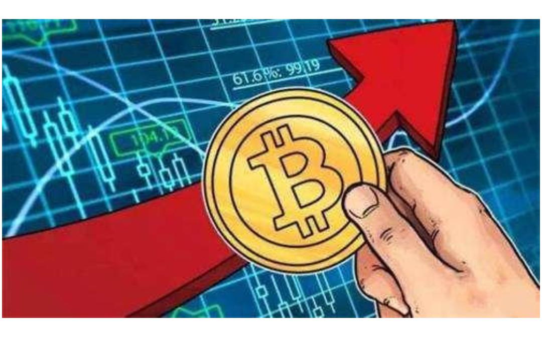 币圈的公链有哪些