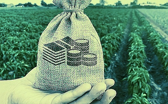 虚拟币合约时间是多久