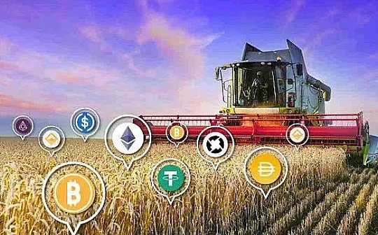 现在的币圈要投什么币 现在的币圈要投什么币