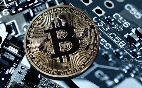 pig币总发行量多少亿 pig币总发行量多少亿