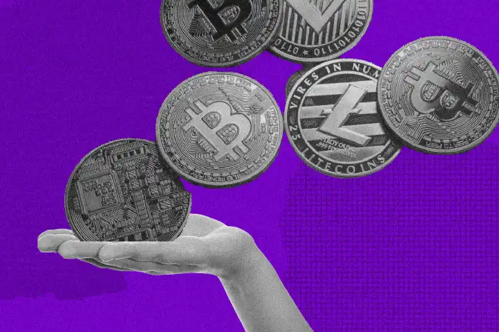 poro硬币有什么用