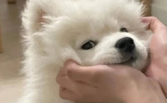 怎样理财才能挣钱呢