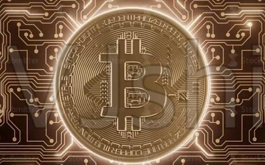 山寨币最新价格是多少