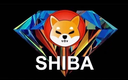 doge是什么币