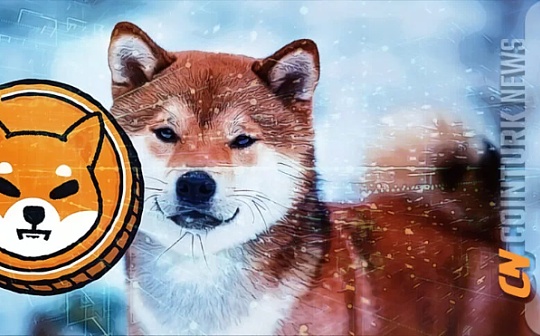 新手进入币圈步骤是什么 新手进入币圈步骤是什么