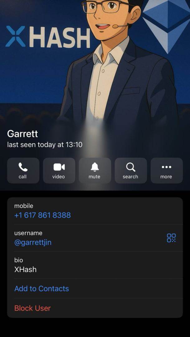 黑天鹅操盘手？神秘巨鲸Garrett Jin是谁？
