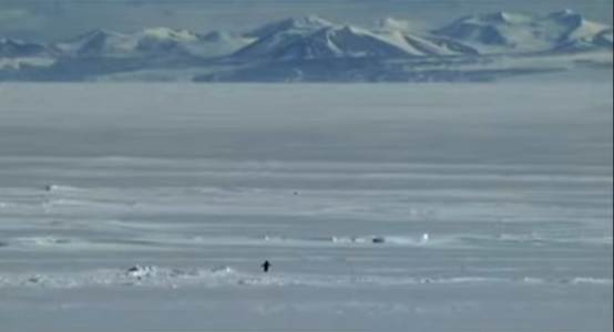 情绪meme+特朗普,尼采企鹅一周6000倍 情绪meme+特朗普,尼采企鹅一周6000倍