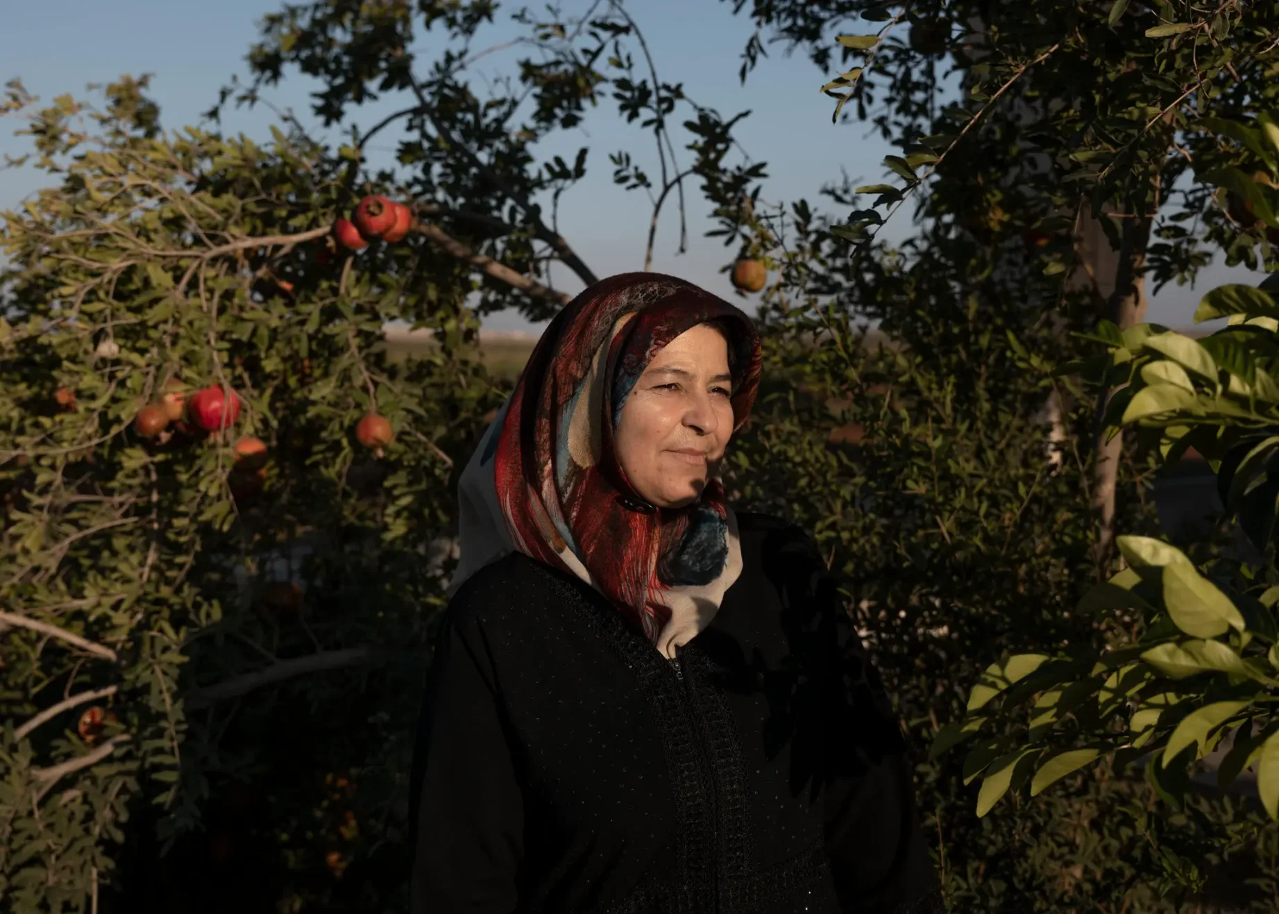 《纽约时报》：阿富汗，在废墟上长出的加密创新